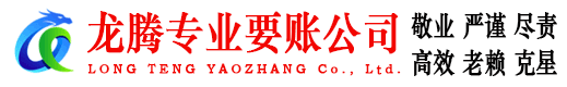 滨城龙腾清债公司